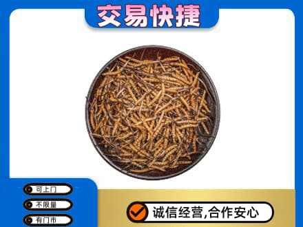 无锡市回收散虫草